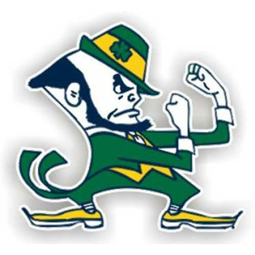 Notre Dame Fighting Irish Ncaa 12" Car Magnet