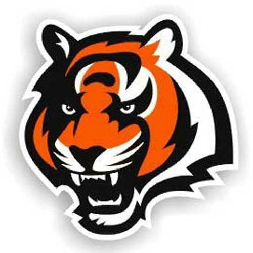 Cincinnati Bengals NFL 12 Car Magnet