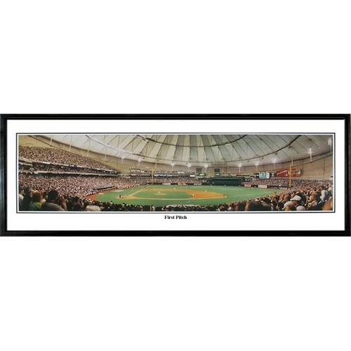 Tampa Bay Devil Rays "1st Pitch" - 13.5"x39" Standard Black Frame