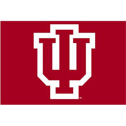 Indiana Hoosiers Ncaa Tufted Rug (30"x20")