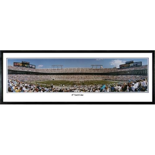 Carolina Panthers "47 Yard Line" - 13.5"x39" Standard Black Frame