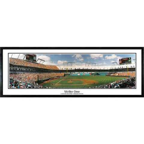 Florida Marlins "strike One" - 13.5"x39" Standard Black Frame