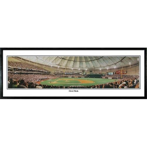 Tampa Bay Devil Rays "1st Pitch"  - 13.5"x39" Standard Black Frame