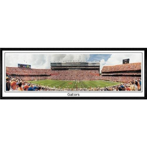 Florida Gators "gators"  - 13.5"x39" Standard Black Frame