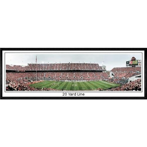 Ohio State Buckeyes "20 Yard Line"  - 13.5"x39" Standard Black Frame