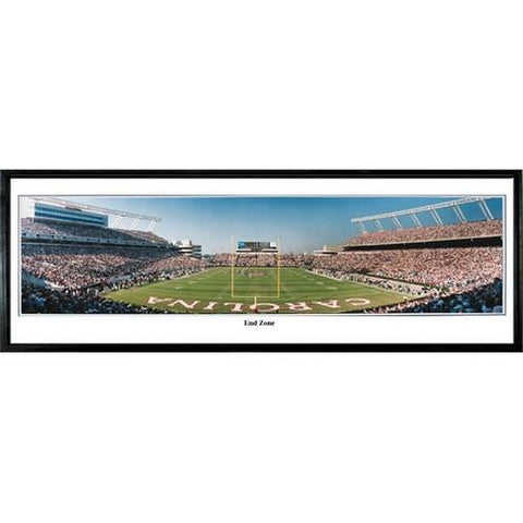 South Carolina Gamecocks "end Zone" - 13.5"x39" Standard Black Frame