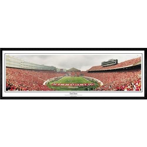 Wisconsin Badgers "end Zone"  - 13.5"x39" Standard Black Frame