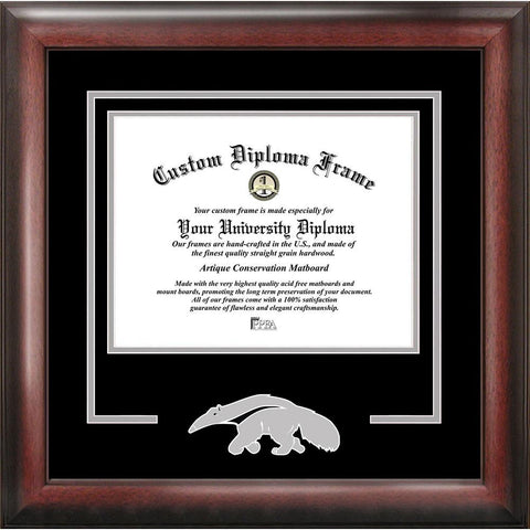 University Of California, Irvine Spirit Diploma Frame