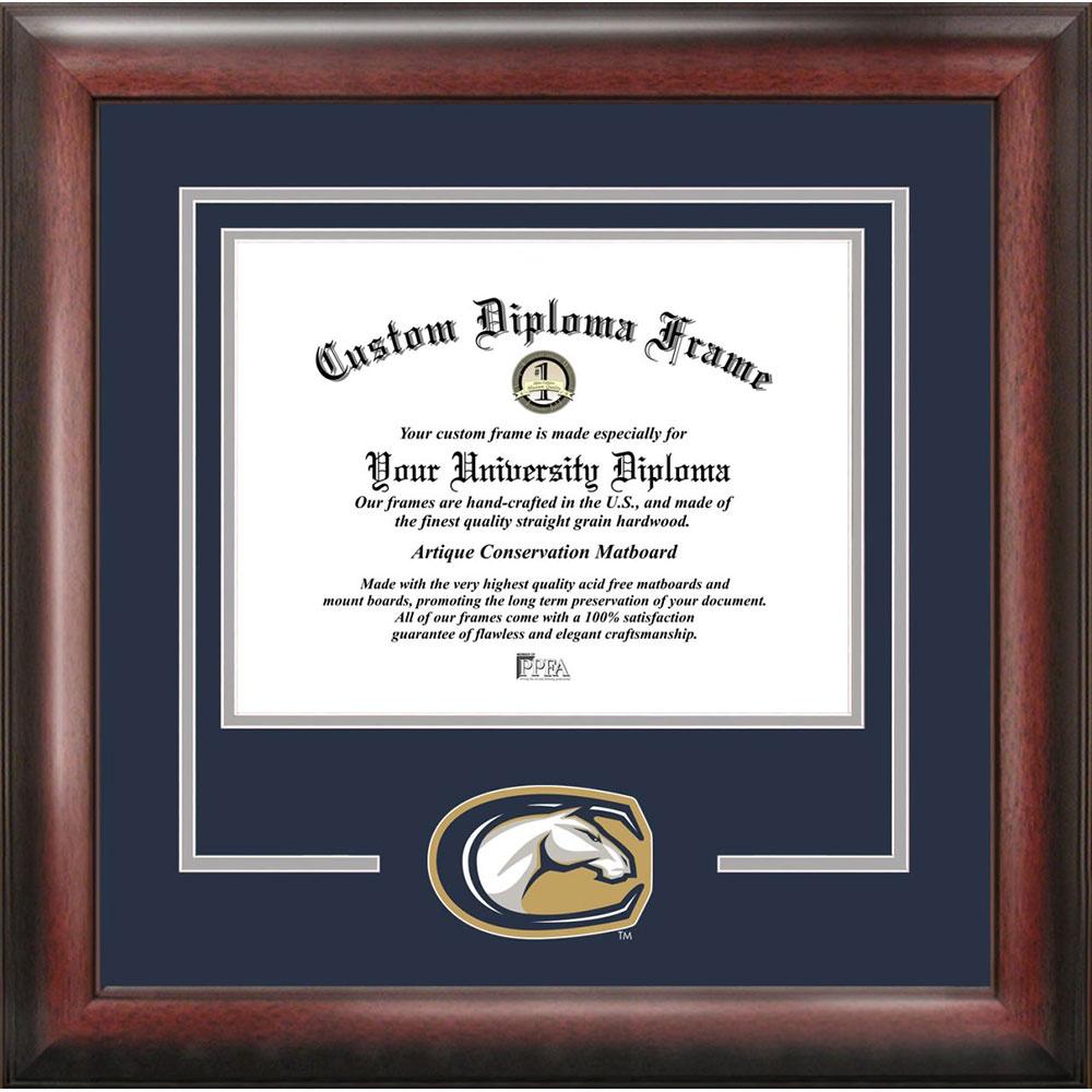 University Of California, Davis Spirit Diploma Frame