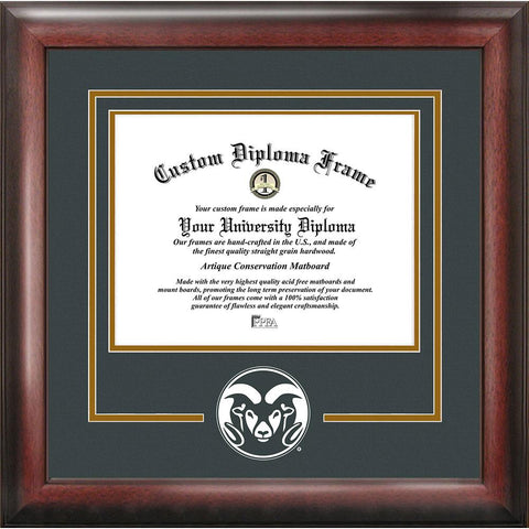 Colorado State "spirit" Diploma Frame