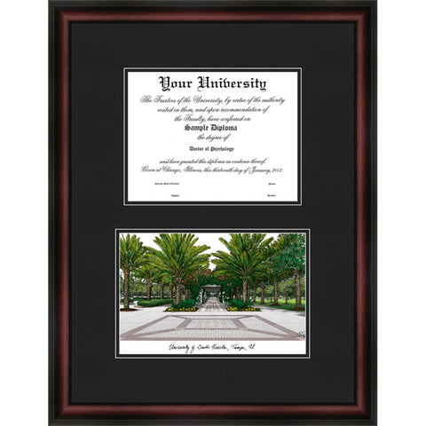 University Of South Florida Diplomate