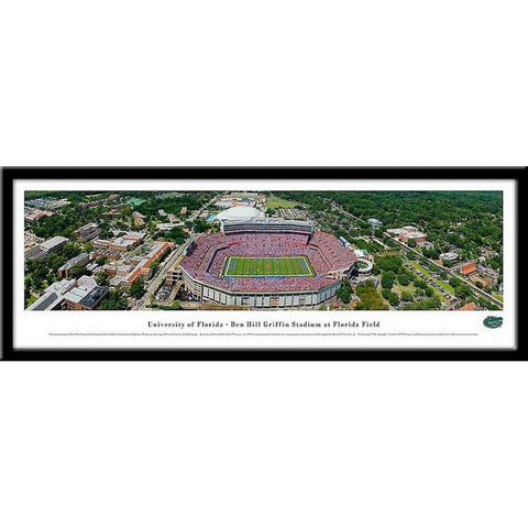 Florida Gators Ben Hill Griffin Framed Panoramic Stadium Print