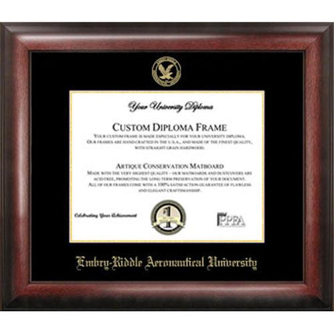 Embry-riddle Aeronautical University Gold Embossed Diploma Frame