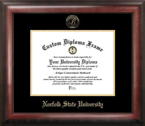 Norfolk State Gold Embossed Diploma Frame