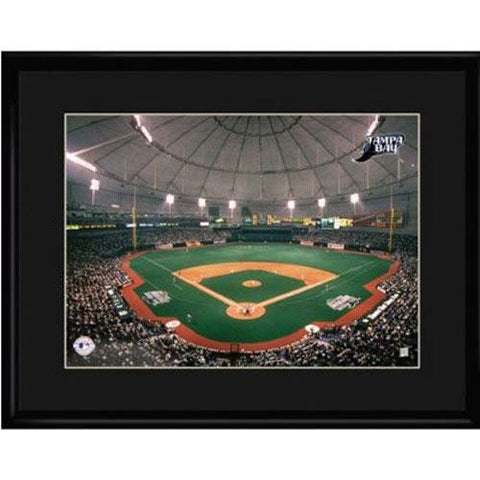 Tampa Bay Rays MLB Tropicana Field Limited Edition Lithograph